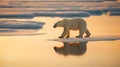 Polar bear sow and cub walk on ice floe in arctic ocean. generative ai Royalty Free Stock Photo