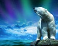Polar bear stand on the rock in the middle of the sea. Royalty Free Stock Photo