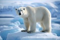 a polar bear standing on glacier, long flur, portrait shot, Generated AI