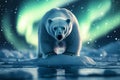 A polar bear standing on an ice floe and the northern lights in starry sky Royalty Free Stock Photo