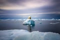 Polar bear standing on isolated iceberg