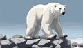 A polar bear standing on rocks Royalty Free Stock Photo