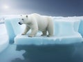 Polar bear is standing on a small melting iceberg Royalty Free Stock Photo