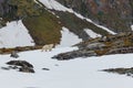 A polar bear stands on the stony hill of the Spitsbergen archipelago