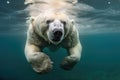 polar bear surfacing from a deep dive in freezing arctic waters