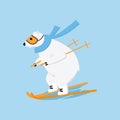 Polar bear surfing snowboard on downhill. Extreme outside winter sport concept. Royalty Free Stock Photo