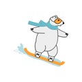 Polar bear surfing snowboard on downhill. Extreme outside winter sport concept. Royalty Free Stock Photo