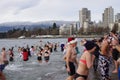 Polar bear swim