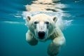 Polar bear swimming underwater in arctic ocean with copious negative space, wildlife photography