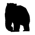 Polar Bear Ursus maritimus Standing On a Front View Silhouette Found In Map Of Eurasia,Europe And North America Ocean.