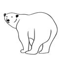 Polar bear Vector, Eps, Logo, Icon, Silhouette Illustration by crafteroks for different uses. Visit my website at https://craftero