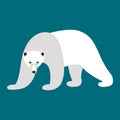 Polar bear , vector illustration , flat style Royalty Free Stock Photo