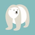 Polar bear , vector illustration , flat style Royalty Free Stock Photo