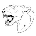 Polar bear. Vector illustration of a sketch ursus maritimus. Evil terrestrial predator of the arctic Royalty Free Stock Photo