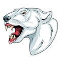 Polar bear. Vector illustration of a ursus maritimus. Evil terrestrial predator of the arctic Royalty Free Stock Photo