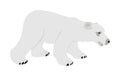 Polar bear vector isolated on white background. Ursus Maritimus. White bear from arctic. Northern animal. Royalty Free Stock Photo