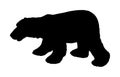Polar bear vector silhouette isolated on white background. Ursus Maritimus. White bear from arctic. Northern animal. Royalty Free Stock Photo