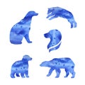 Polar bear vector watercolor silhouettes Royalty Free Stock Photo