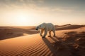 A polar bear walks desperately through the desert looking for water and food.Global warming has left this polar bear without