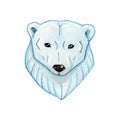 Polar bear. Watercolor illustration. Polar set. Illustratin for design. Isolated on white.