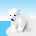 Polar bear youngling on the iceberg Royalty Free Stock Photo