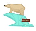 Polar bear zoo animal and wooden signboard vector cartoon icon for zoological park Royalty Free Stock Photo