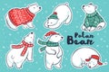 Polar Bears collection in red and green sweater, scarf, hat
