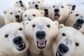 polar bears face only packed together and straight look the same way.Generative AI