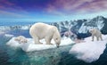 Polar bears on thin ice Royalty Free Stock Photo