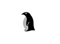 Polar black penguin logo creative