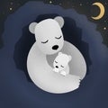 polar mother bear and bear cub sleeping and cuddling in the night Royalty Free Stock Photo