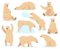 Polar white bear. Arctic snow bear, cute north bear character, angry fur wildlife mammal character isolated vector