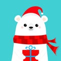 Polar white bear cub face holding gift box present. Red Santa hat, scarf. Cute cartoon baby character. Happy New Year. Merry Royalty Free Stock Photo