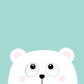 Polar white little small bear cub head face looking up. Big eyes. Cute cartoon baby character. Arctic animal collection. Flat desi