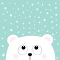 Polar white little small bear cub head face looking up to snow flake. Royalty Free Stock Photo