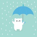 Polar white small little bear cub holding umbrella. Rain drops. Cute cartoon baby character. Arctic animal collection. Blue backgr Royalty Free Stock Photo