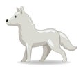 Polar wolf animal standing on a white background Royalty Free Stock Photo