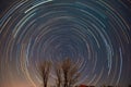 Polaris and star trails over the trees Royalty Free Stock Photo