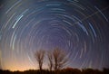 Polaris and star trails over the trees Royalty Free Stock Photo