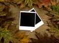 Polaroid frames over autumn background