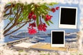 Polaroid pattern for photo frames with background texture
