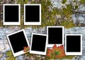 Polaroid pattern for photo frames with background texture