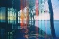 a polaroid photo of a lake and trees