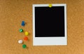 Polaroid picture on Corkboard Royalty Free Stock Photo