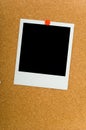 Polaroids on Corkboard Royalty Free Stock Photo