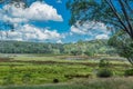 PolBlue Swamps, Barrington Tops, NSW, Australia Royalty Free Stock Photo