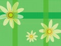 Polcadot green and flower wallpaper
