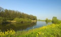 Polder landscape