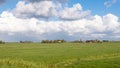 Polder landscape of Groene Hart in Dutch Randstad, South Holland Royalty Free Stock Photo