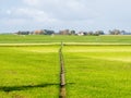 Polder landscape with pasture and path near Workum, Friesland, N Royalty Free Stock Photo